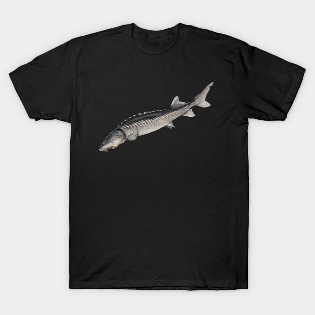 Sturgeon T-Shirt by Sandarmi